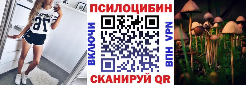 Галлюциногенные грибы Cubensis Химки