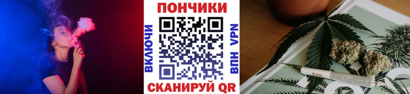 Шишки марихуана конопля Химки